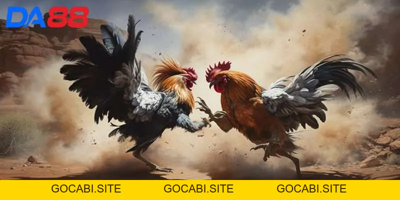 Đá Gà DA88 - Sân chơi kịch tính, tỷ lệ thưởng hấp dẫn - gocabi.site