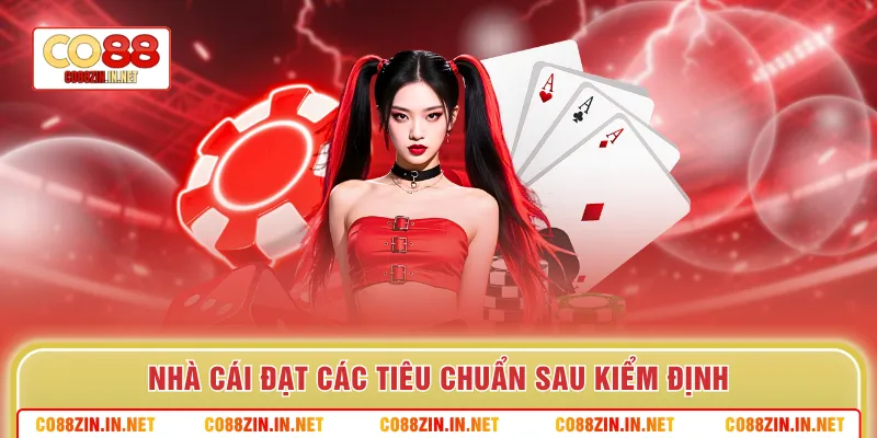 Giới Thiệu Co88 - Săn Thưởng Dễ Dàng, Giải Trí Thú Vị - gocabi.site