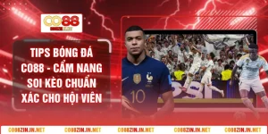 Lưu trữ Tin Tức Co88 - co88zininnet - gocabi.site