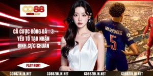 Thể Thao CO88 – Địa Chỉ Cá Cược Hiện Đại Cho Người Việt - gocabi.site