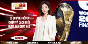 Thể Thao CO88 – Địa Chỉ Cá Cược Hiện Đại Cho Người Việt - gocabi.site