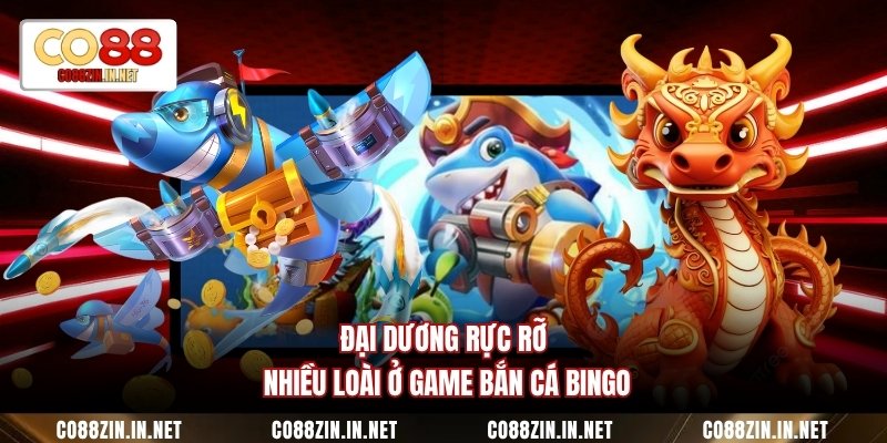 Game Bắn Cá Bingo - Săn Mồi Sống Động Hot Nhất 2026 - gocabi.site