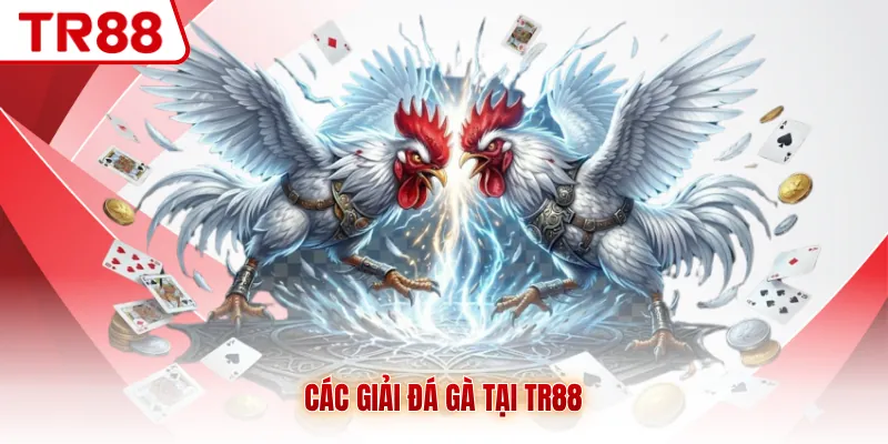 Đá Gà TR88 - Mãn Nhãn Với Giải Đấu Của Chiến Kê Hàng Đầu - gocabi.site