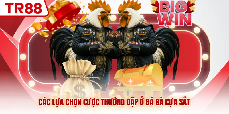 Đá gà Cựa Sắt TR88 - Những Màn So Tài Mãn Nhãn, Kịch Tính - gocabi.site