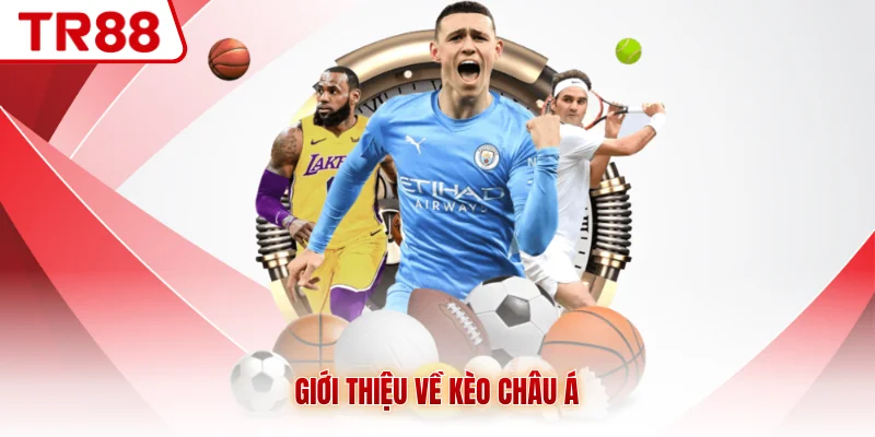 Kèo Châu Á TR88 - Tìm Hiểu Cách Chơi Chi Tiết Từ A-Z - gocabi.site