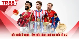 Thể Thao TR88 - Giải Trí Đỉnh Cao, Bắt Kèo Thoải Mái - gocabi.site