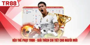 Thể Thao TR88 - Giải Trí Đỉnh Cao, Bắt Kèo Thoải Mái - gocabi.site