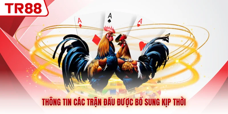 Đá gà Cựa Sắt TR88 - Những Màn So Tài Mãn Nhãn, Kịch Tính - gocabi.site