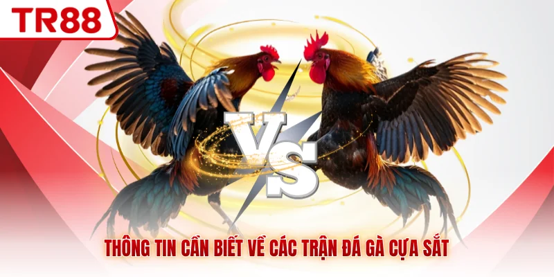 Đá gà Cựa Sắt TR88 - Những Màn So Tài Mãn Nhãn, Kịch Tính - gocabi.site