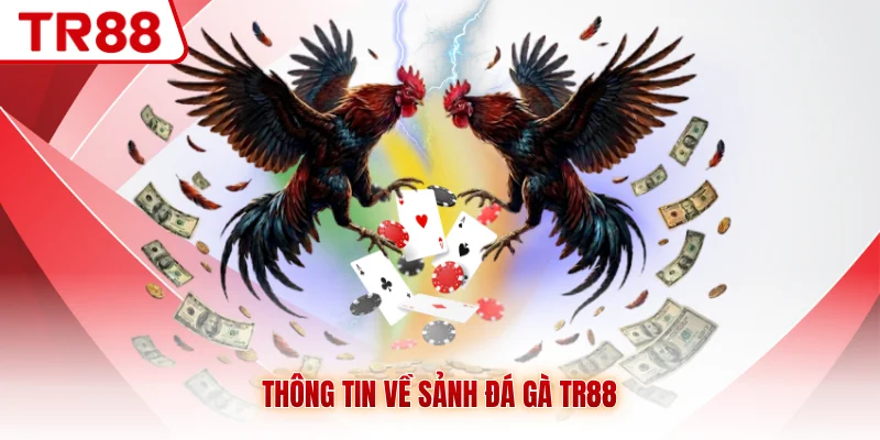 Đá Gà TR88 - Mãn Nhãn Với Giải Đấu Của Chiến Kê Hàng Đầu - gocabi.site