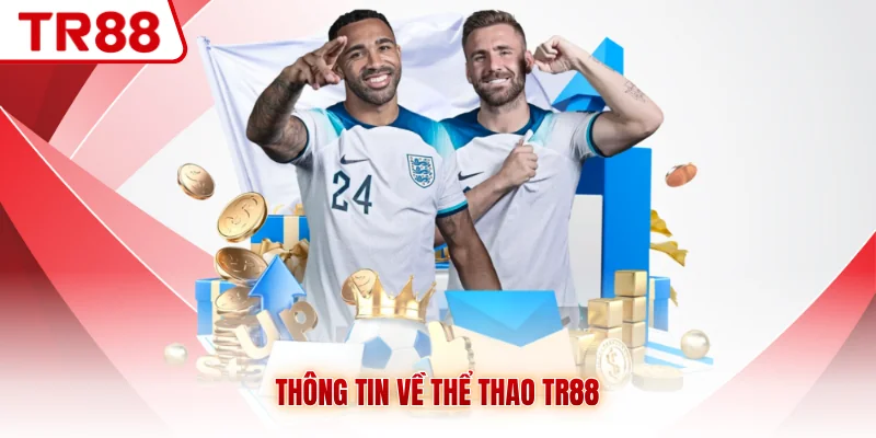 Thể Thao TR88 - Giải Trí Đỉnh Cao, Bắt Kèo Thoải Mái - gocabi.site