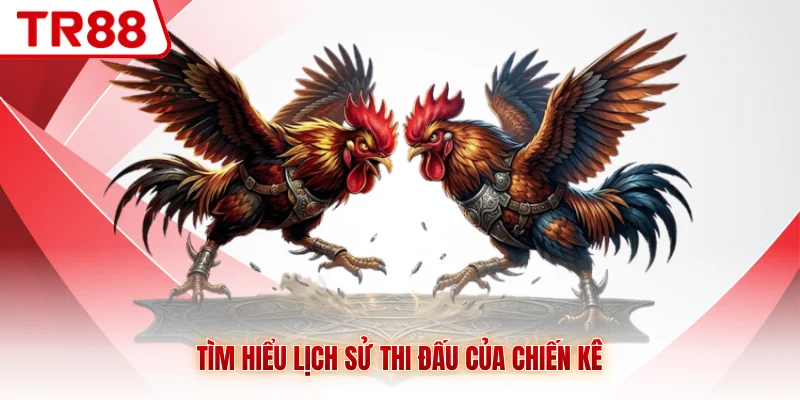 Đá Gà TR88 - Mãn Nhãn Với Giải Đấu Của Chiến Kê Hàng Đầu - gocabi.site